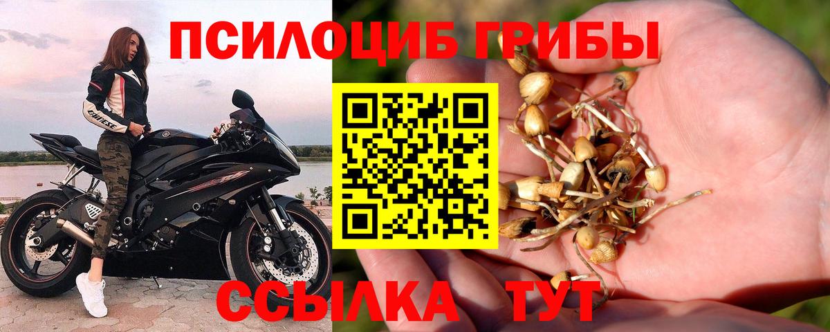 Новочебоксарск  Галлюциногенные грибы Magic Shrooms  Вход с VPN 