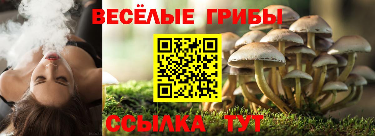 Галлюциногенные грибы мицелий Новочебоксарск